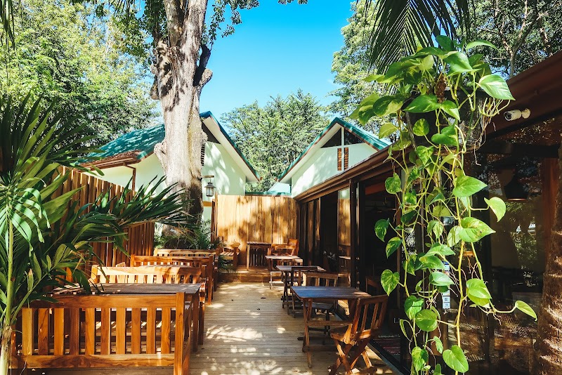 Zopilote Surf Camp