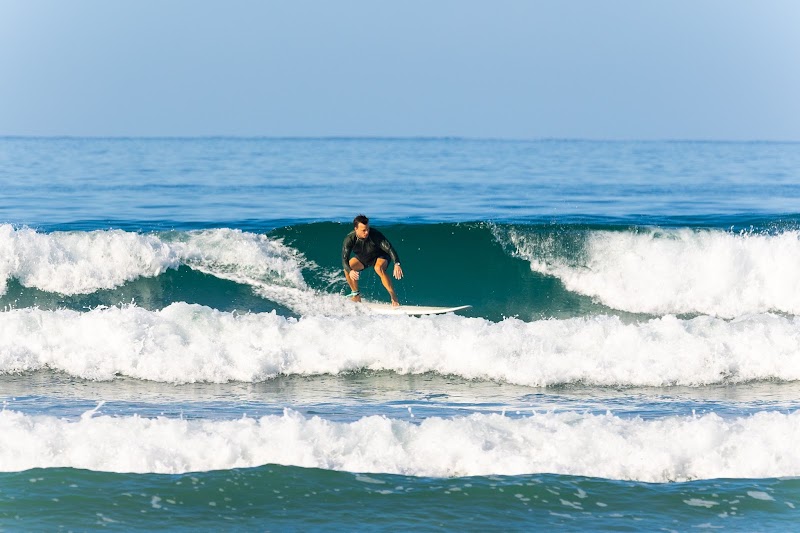 Salt water surfing co.