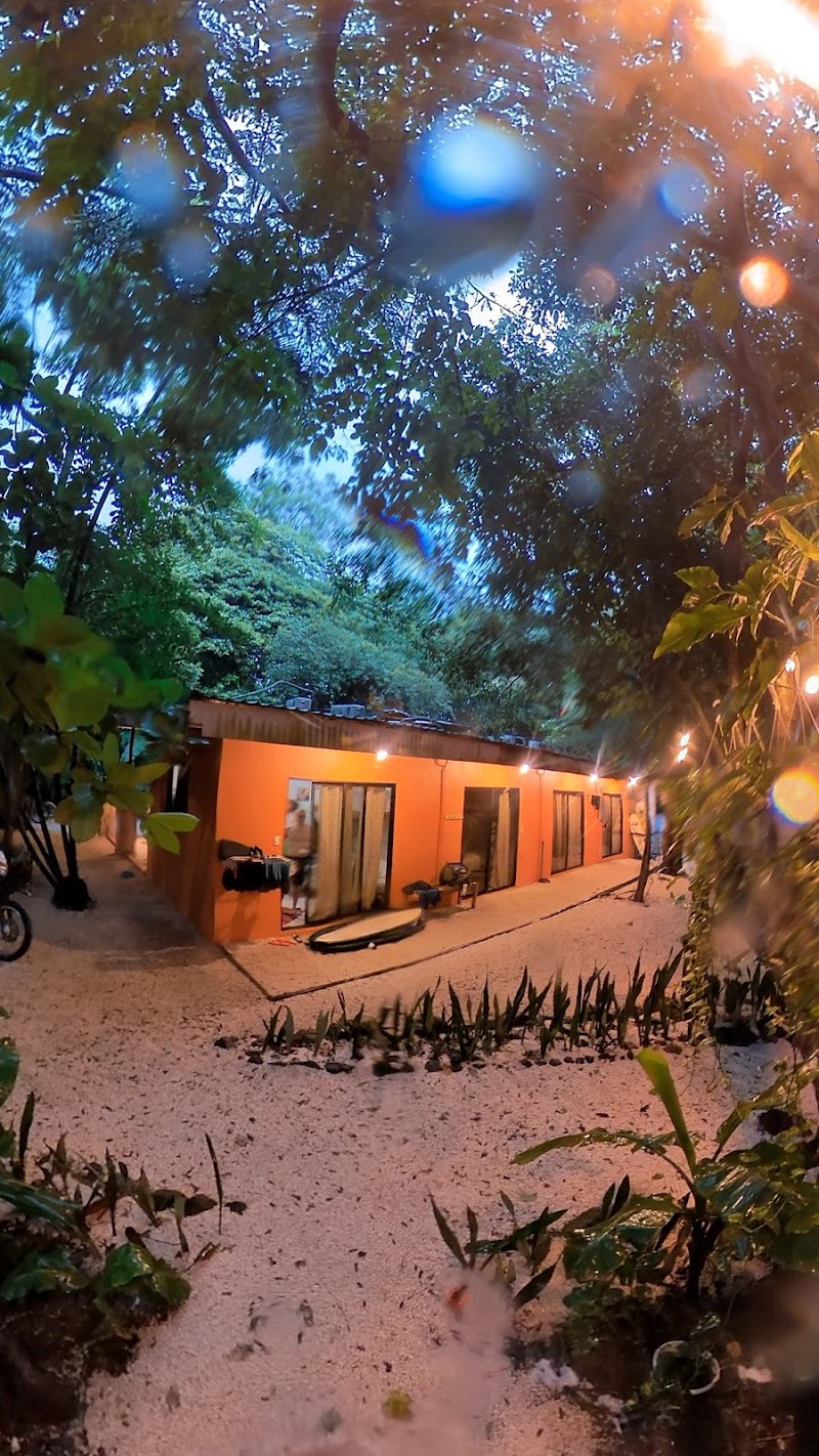 Zeneidas Surf Garden
