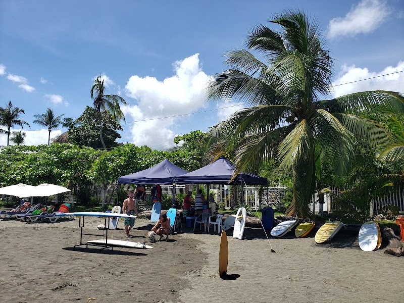 Aloha Josi Surf School