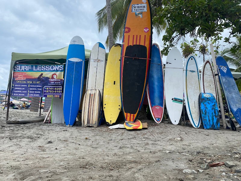 Surf School Tsunami