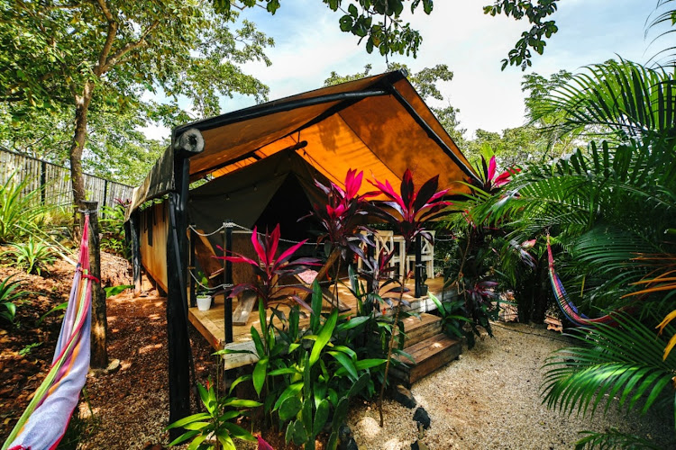 Hotel-Glamping Flor y Bambu