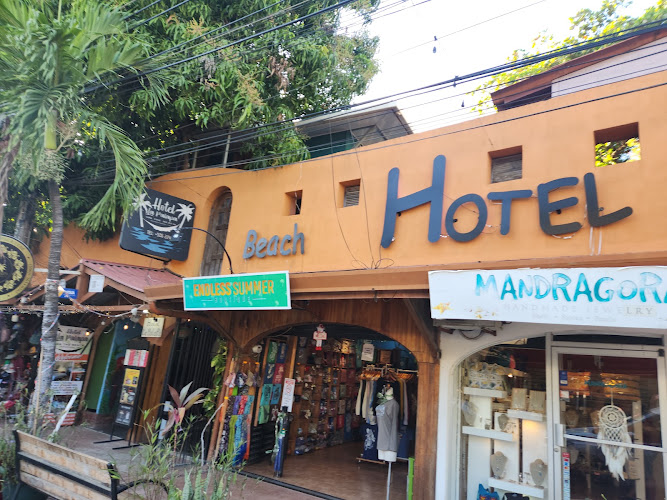 La Palapa