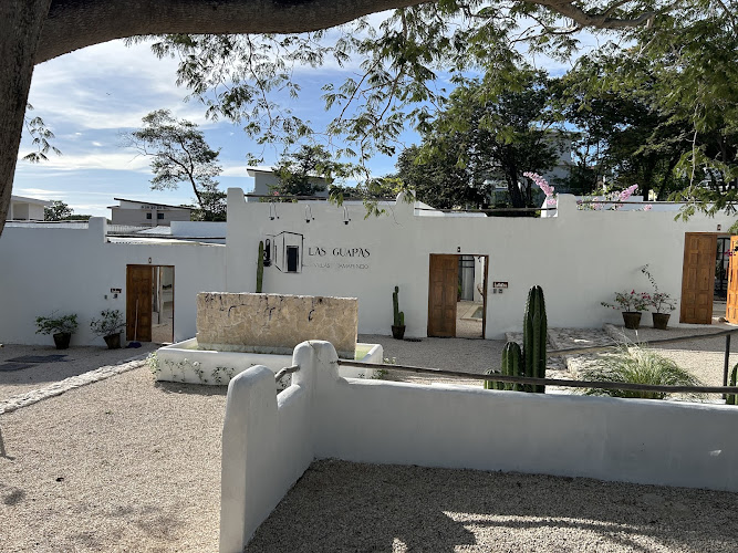 Las Guapas Villas Tamarindo