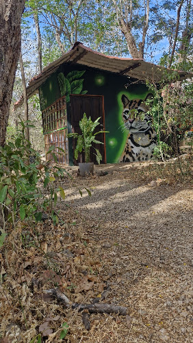 Pachamama Bio