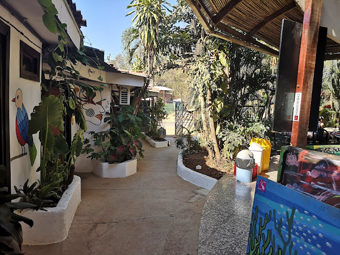 Pura Vida Hostel