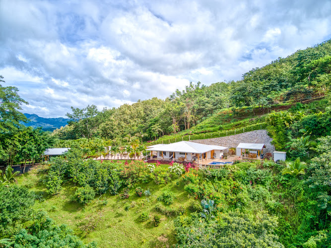 The Retreat at Blue Mountain Farms