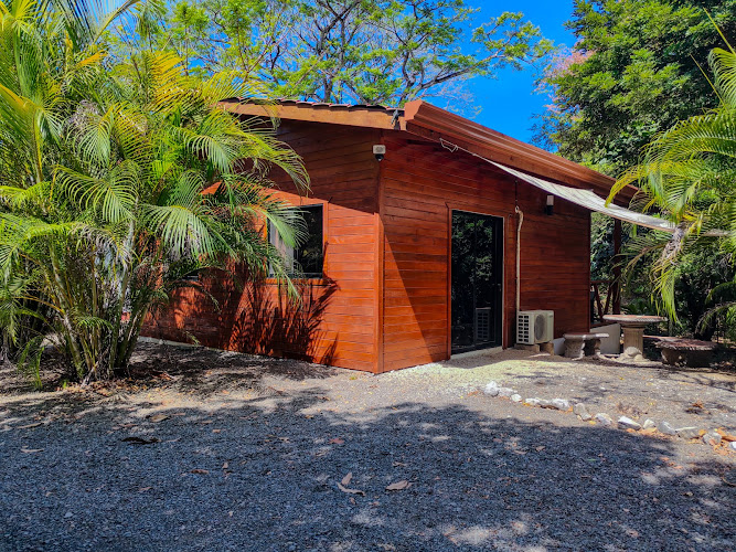 Villas Jungle
