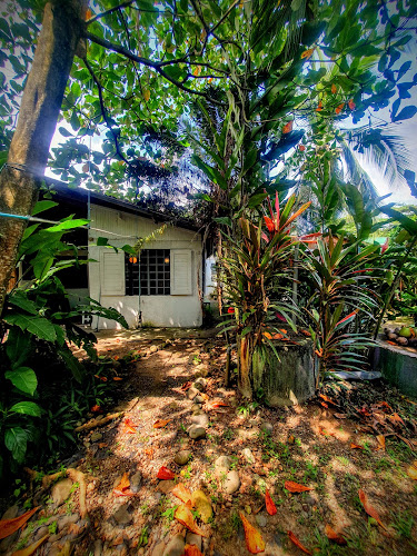 Arana House