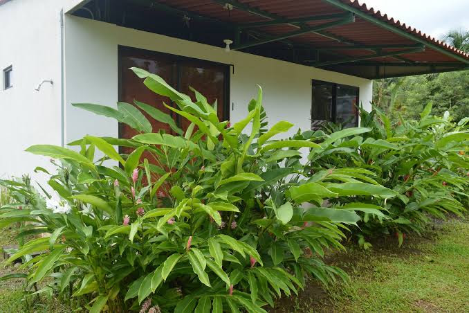 Canto del Mar Guest House