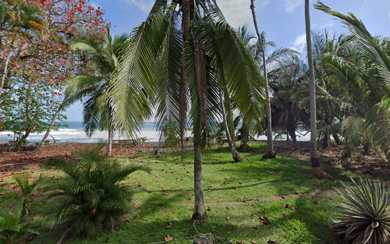 Caribbean Dream Hotel