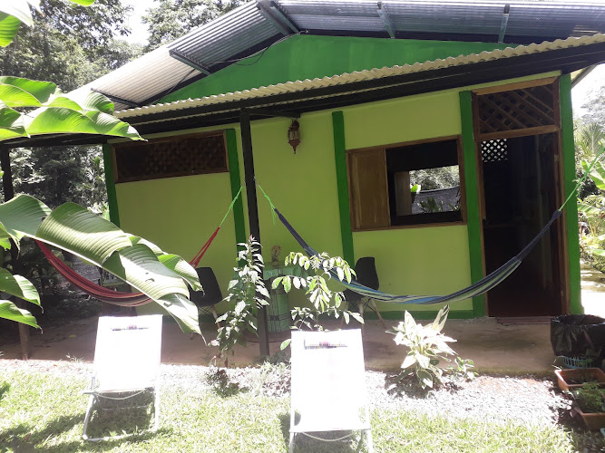 Casa Arlecchino jungle in the town