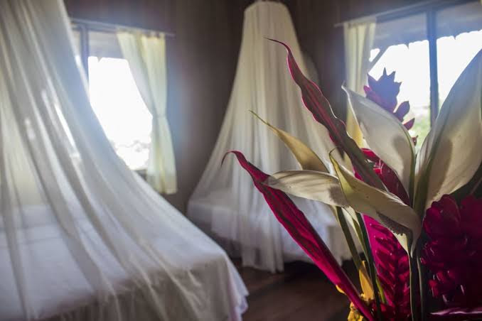 Casa Grande Eco Lodge at Pacuare Reserve