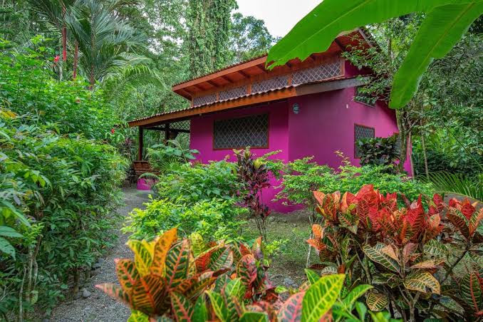 Colores del Caribe