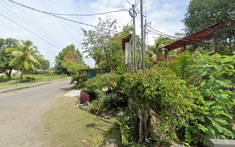 Douglas Ville guest house