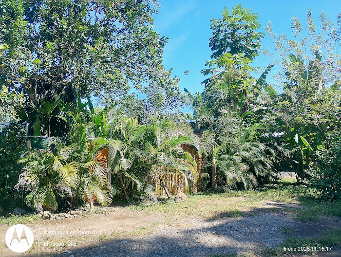 El Tucán Feliz | Jungle Tiny Guest House & La Casita Caribeña