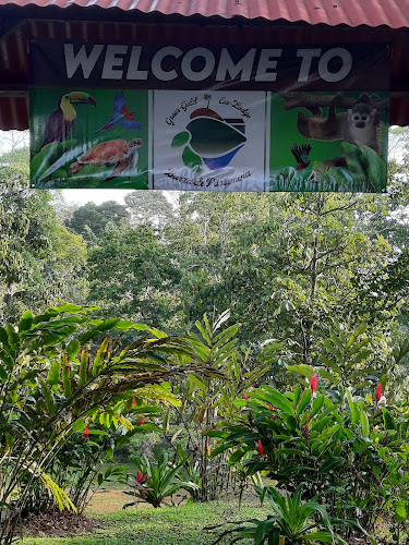 Green Gold Eco-Lodge