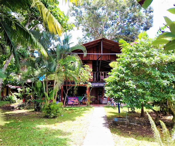 Hakuna Matata Hostel