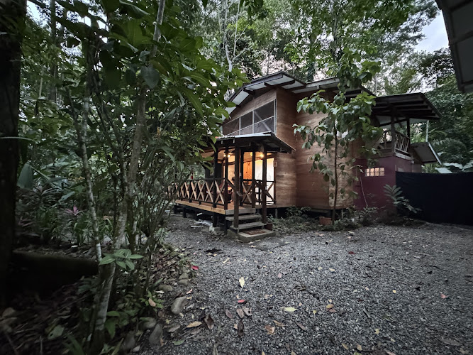 Hostel Ba Ba Lu Punta Uva / Puerto Viejo