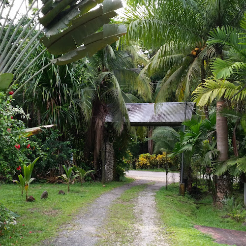 Hotel Sibu