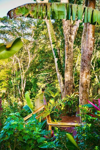 Jungle Spirit Treehouse