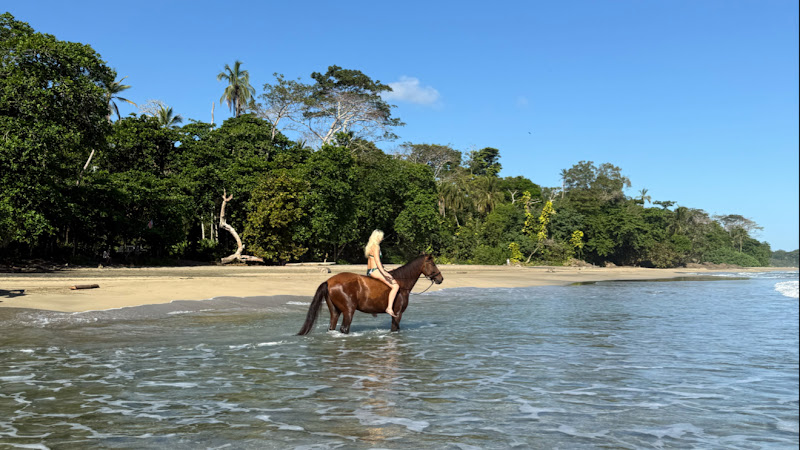 Kindred Spirits Center for Yoga & Horse Healing Arts