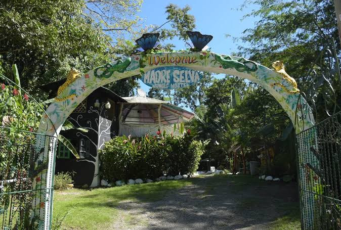 Madre Selva Jungle Hostel.