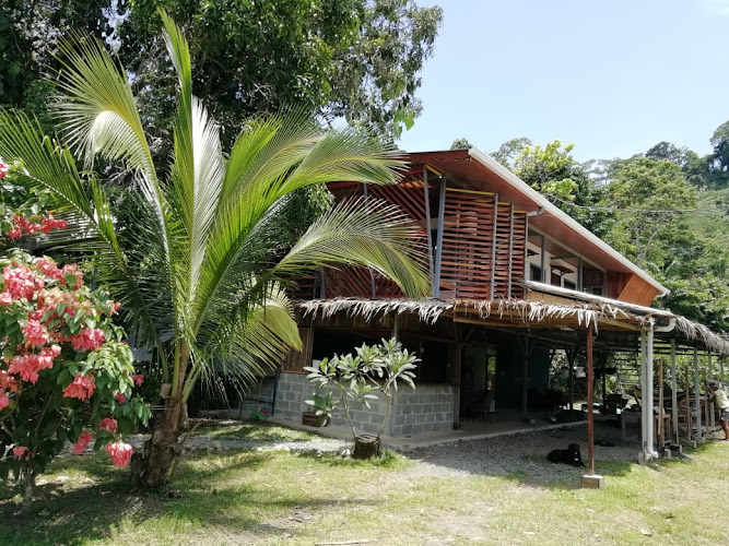 Orgánico Punta Riel