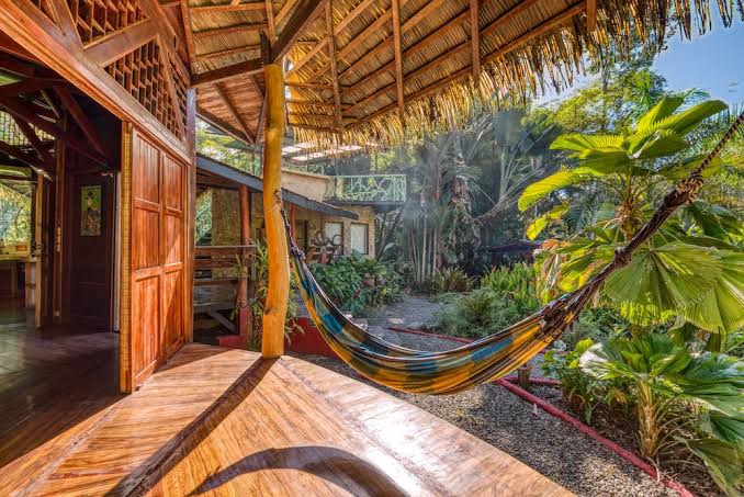 Tree House Lodge
