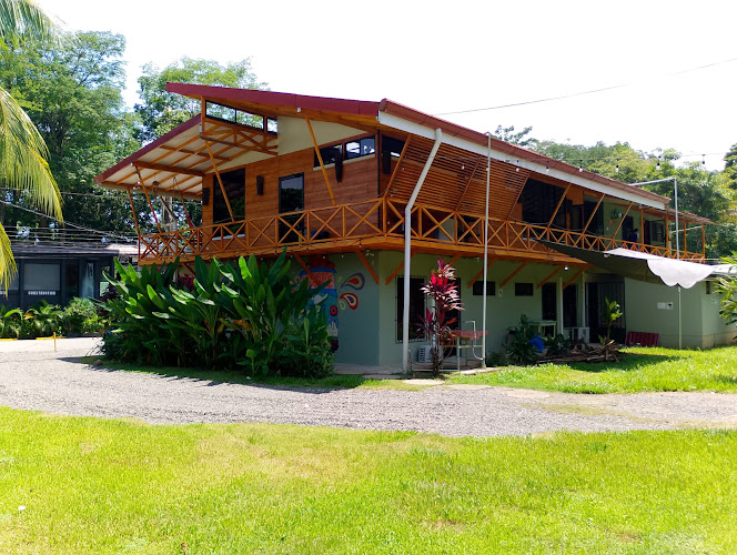 Domi Cabins