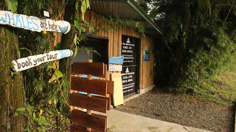 Hostel & NGO La Semilla