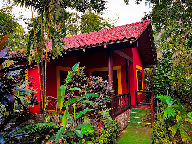 La Palapa