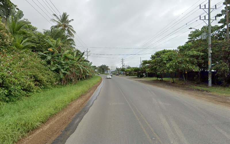 Pacific Edge Jungle Cabinas