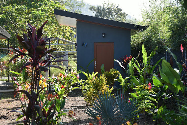 Raya Playa Matapalo B&B
