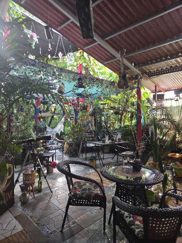 Cafetería Ara Macao