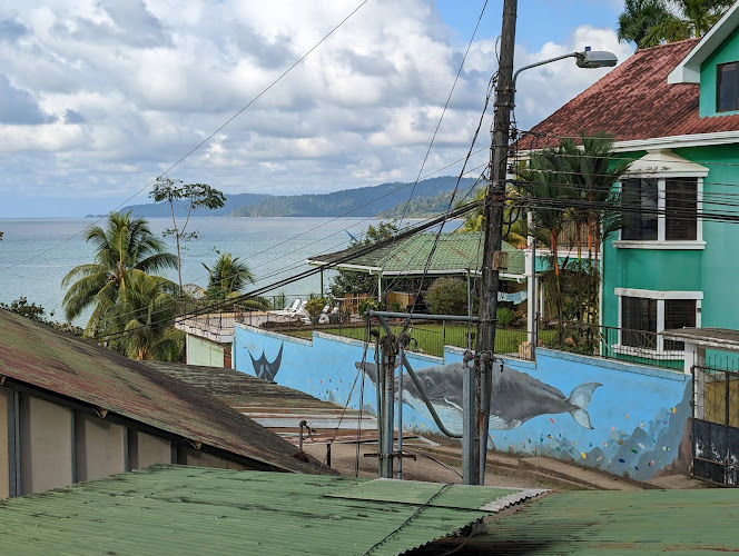 Mar y Bosque Restaurante&Tour&Hostel