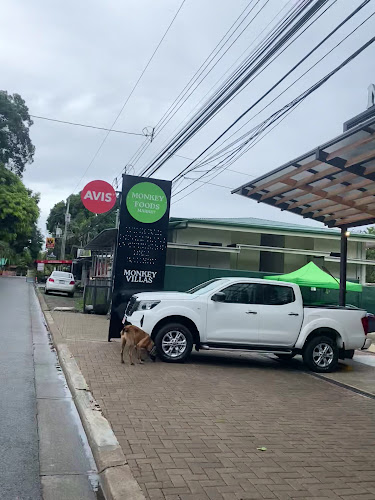 Monkey Foods Market