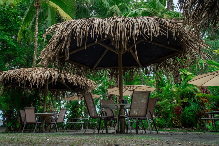 Restaurante Buena Vista Plus
