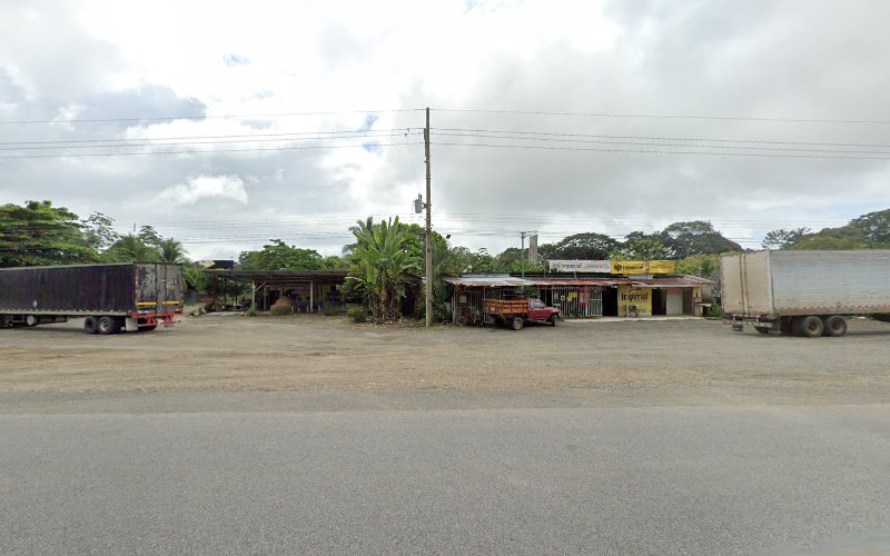 Restaurante matapalo
