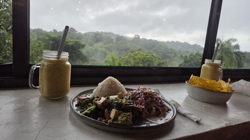 ROOTS by Varuna ~ Plant-Based & Vegetarian Kitchen, Fresh Juice & Cacao Bar