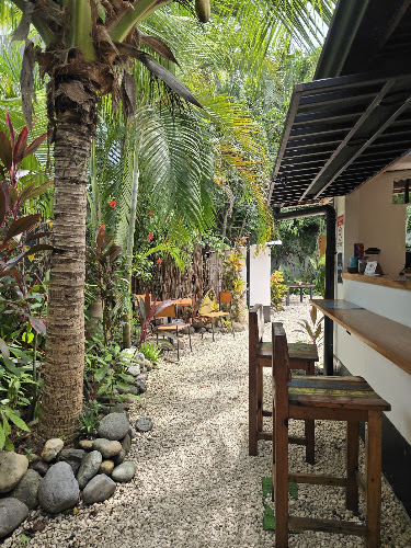 Solo Bueno Surf Cafe Spot