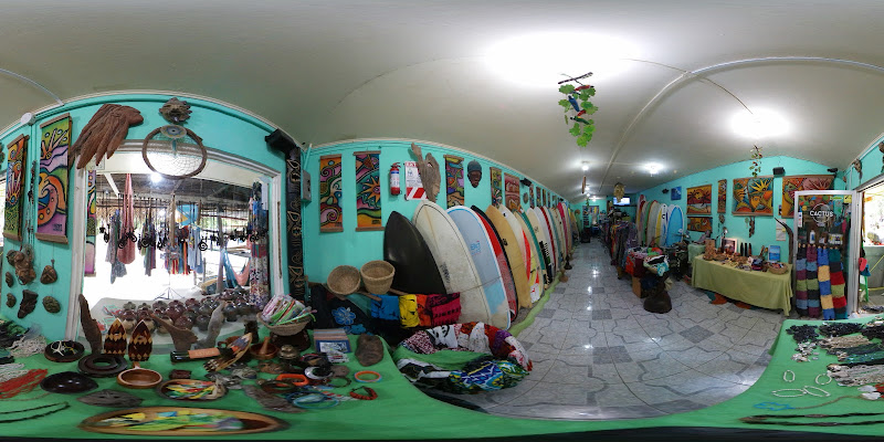 Cactus Surf Shop