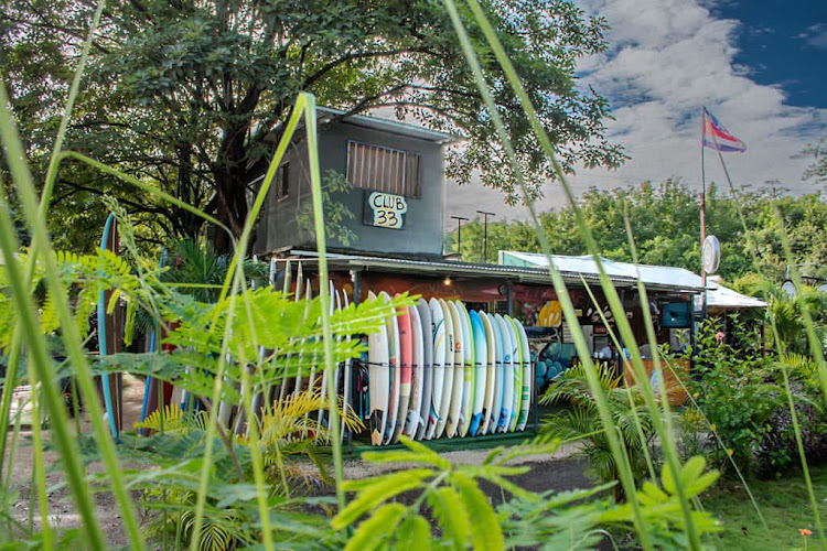 Surf Every Day Academy ️ ️