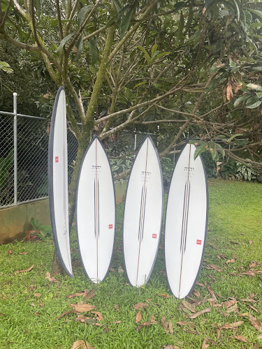Tule Surfboards