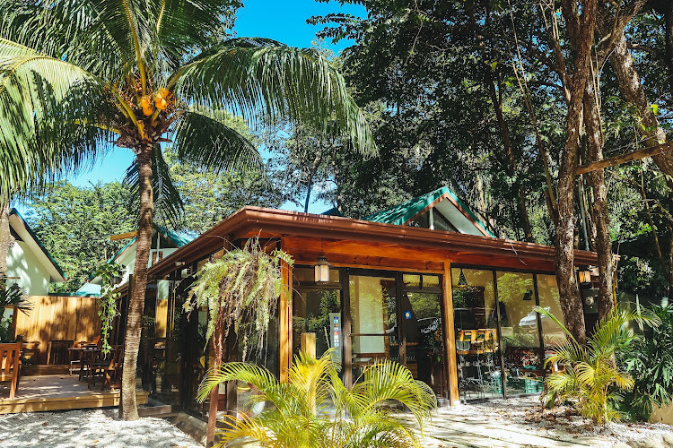 Zopilote Surf Camp